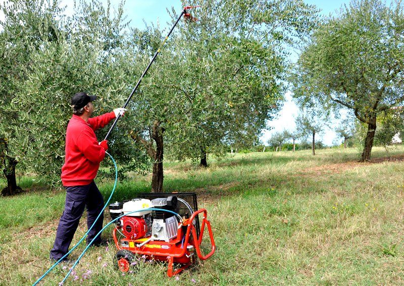 vendita atomizzatori Agrigento