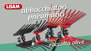 vendita abbacchiatori Agrigento